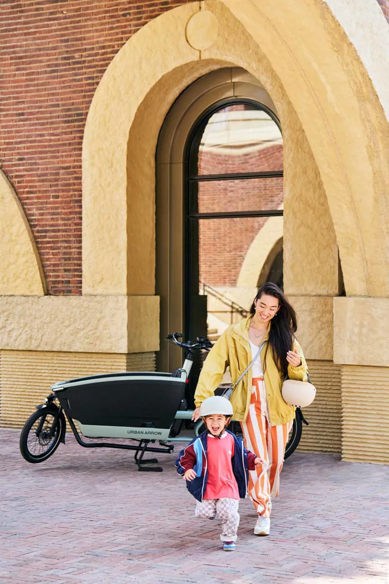 Urban Arrow Family Next Pro Green - 545Wh-7