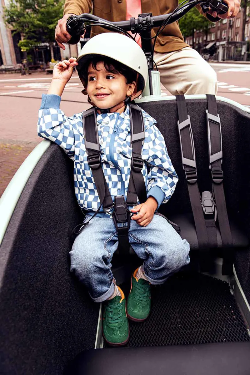 Urban Arrow Family Next Pro Green - 545Wh-8