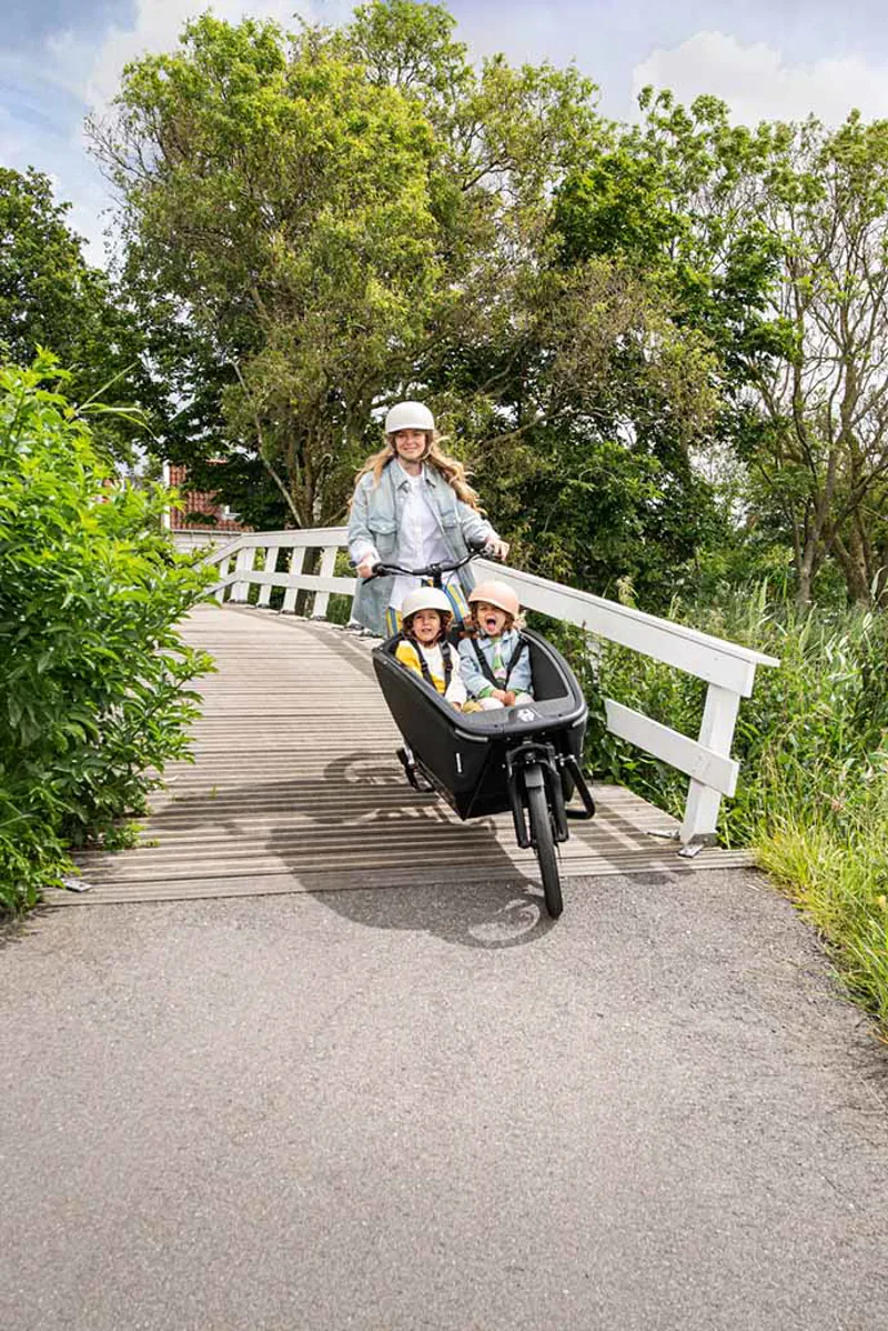 Urban Arrow Family Next from:-2