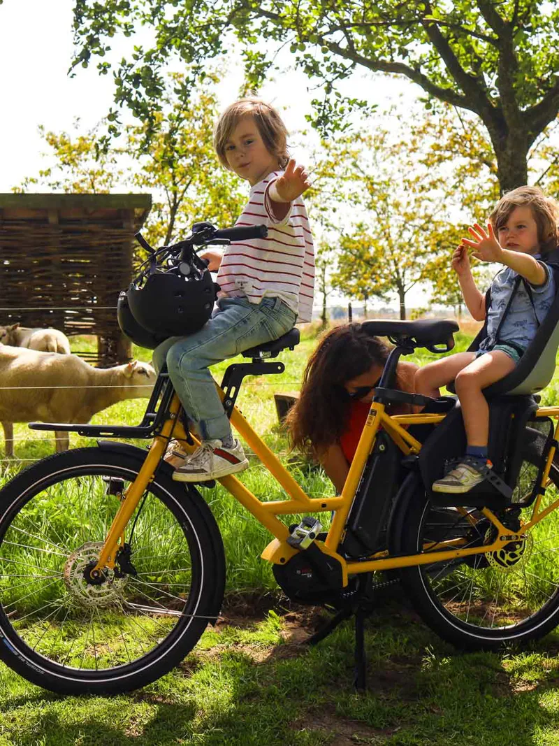 Veloe Multi - Bosch CX 545Wh Enviolo HD Yellow-4