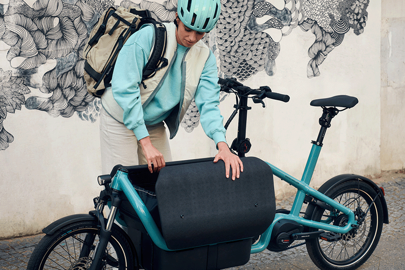 Riese and Muller Carrie from:-3