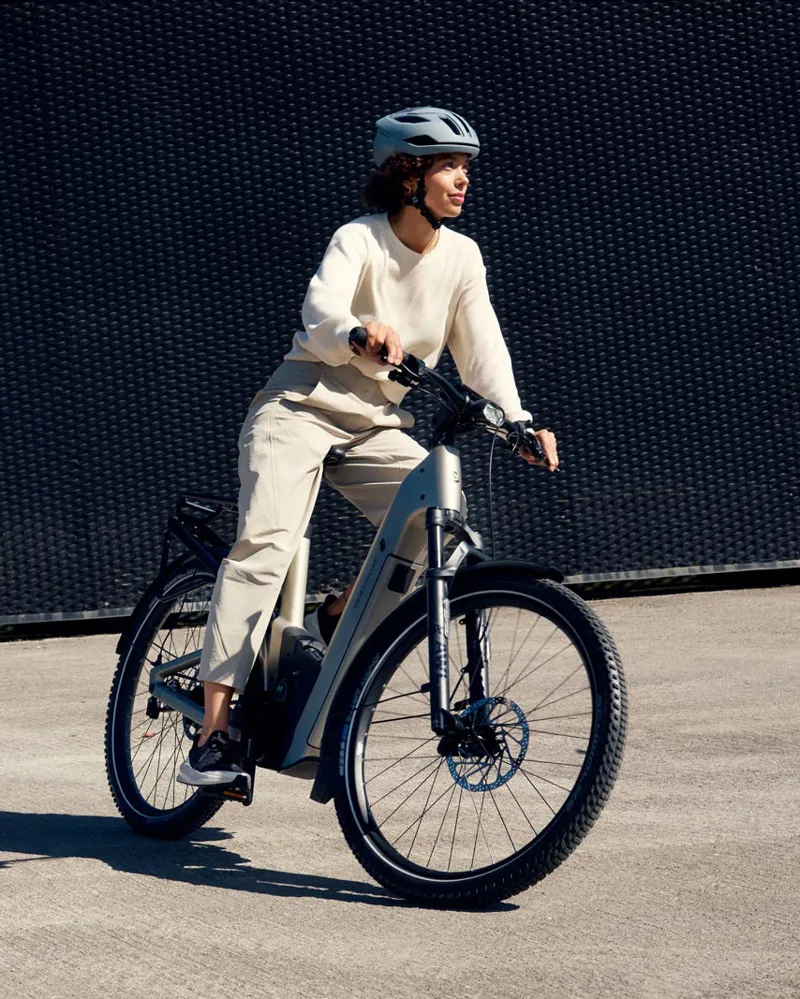 Riese and Muller Homage5 GT Pinion Warm Silver 51cm-2