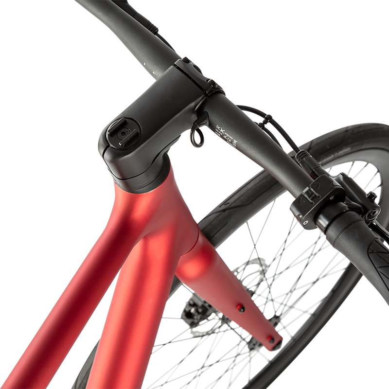 Urwahn Top Dog E from:-3