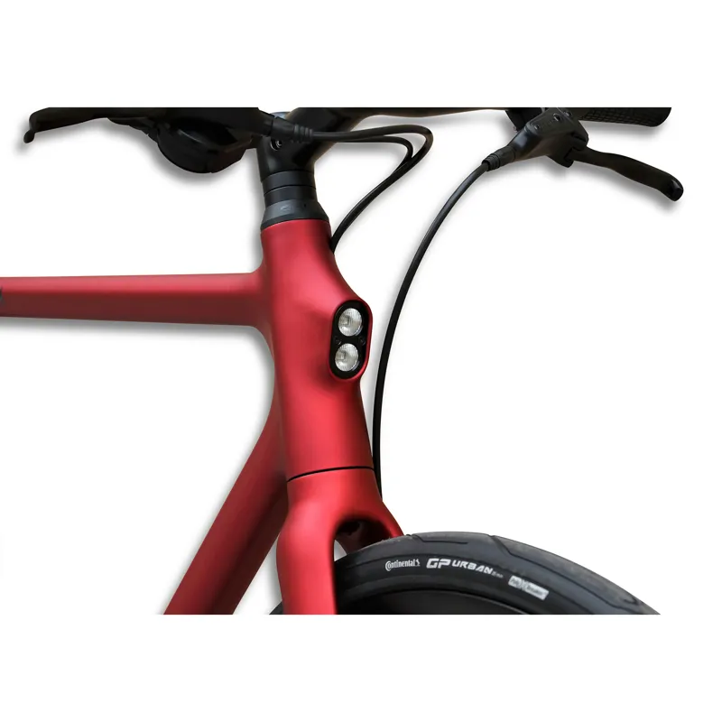 Urwahn Stadtfuchs from:-4